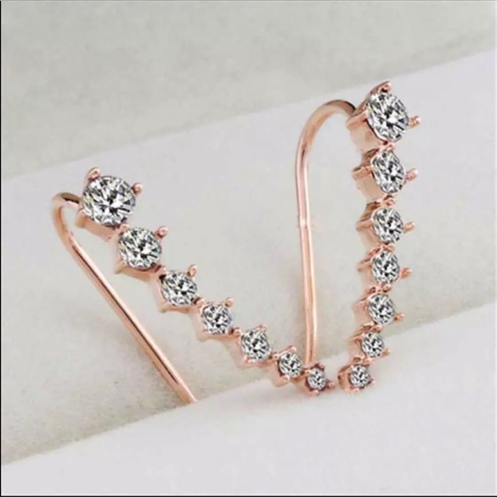 Nwt One pair Crystal Earrings - Picture 2 of 3